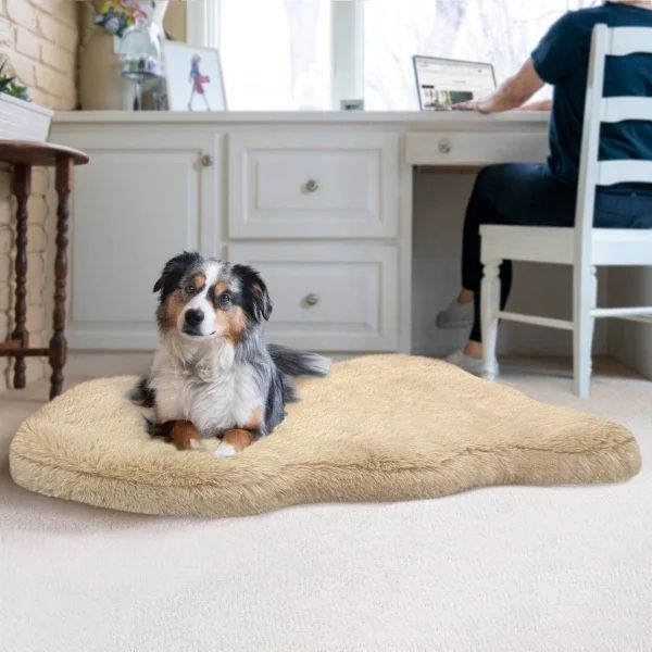 Pet Mat