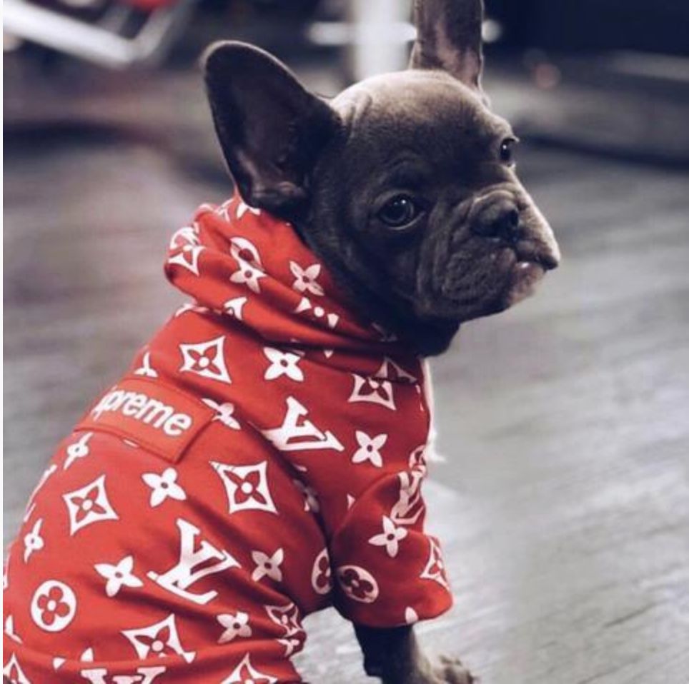 SUPREME LV DOG HOODIE BLACK, WHITE, and RED