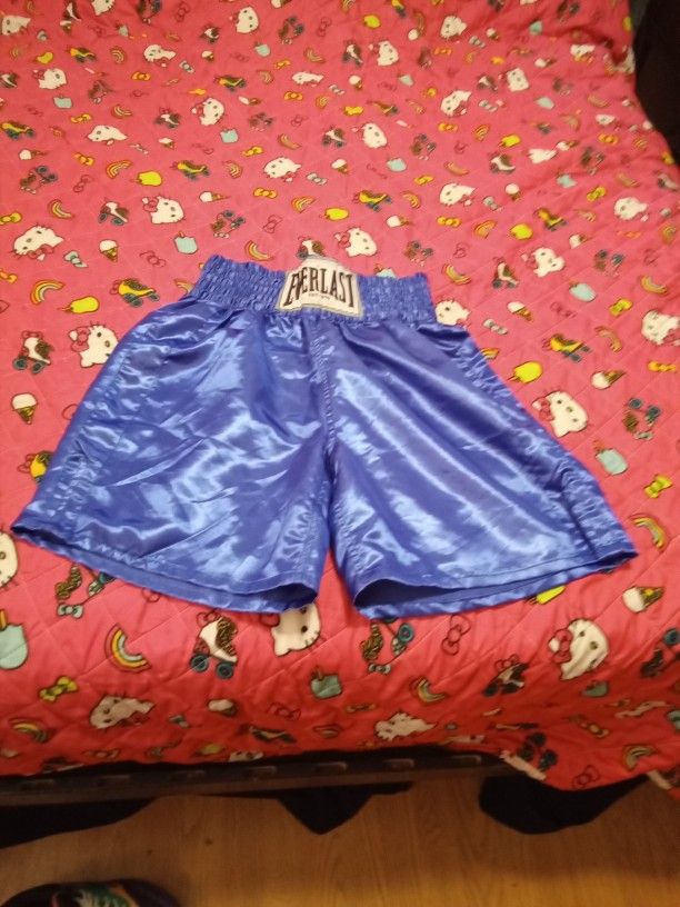 Everlast Blue Boxing Shorts Adult Size Small