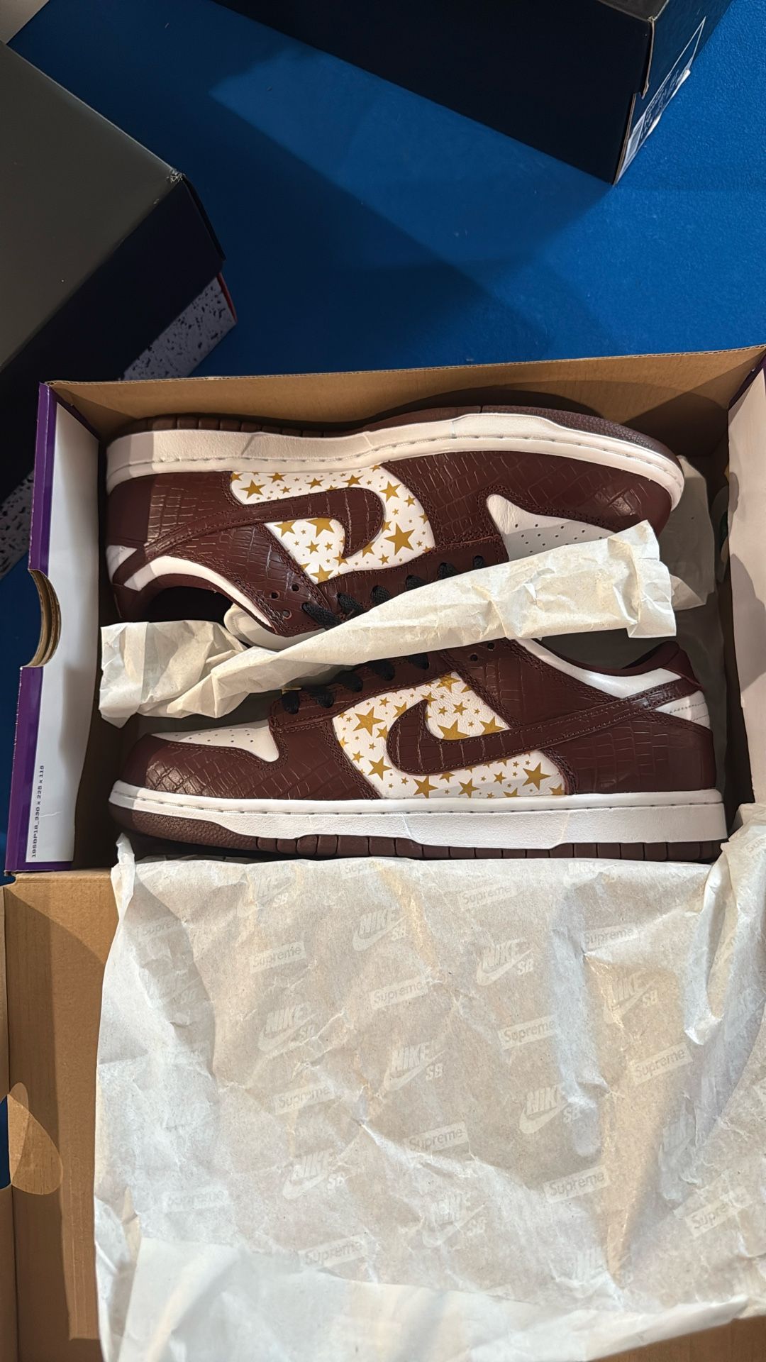 Supreme SB Dunk Brown