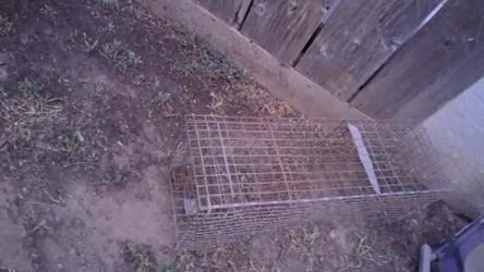 Cat cage