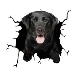 Beautiful Black Car Decor