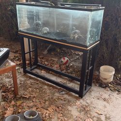 60 Gallon fish Tank And Stand 