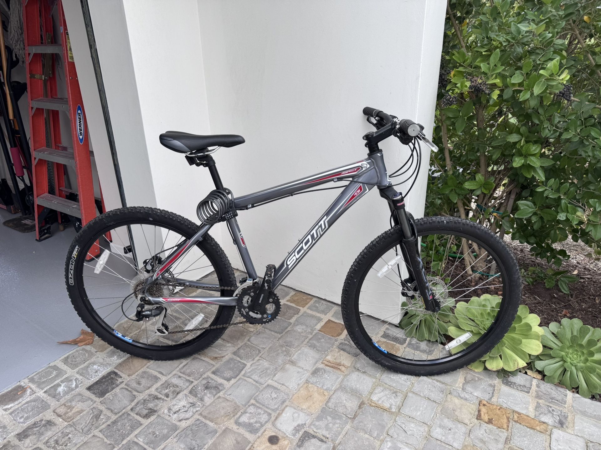 Trail Bike