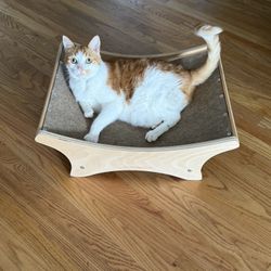 Curve Cat Lounger