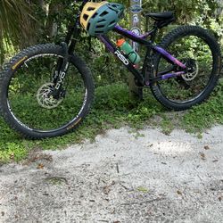 RSD Middlechild Frame + Extras