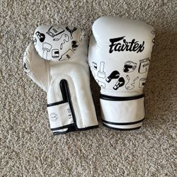 Fairtex  BGV14 Boxing Gloves 14oz