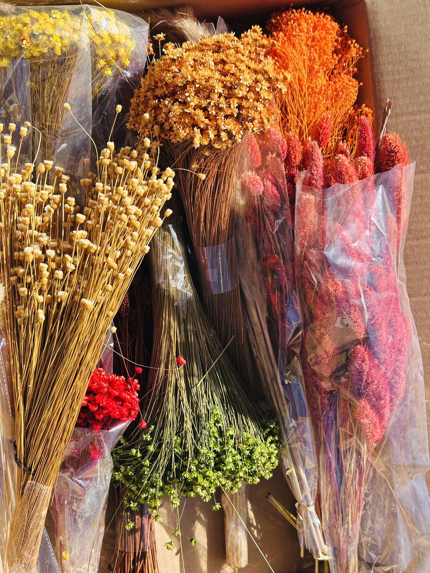 Nature Dried Flowers
