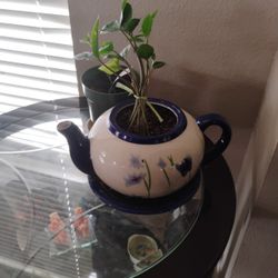  Big Plant Tea Pot 