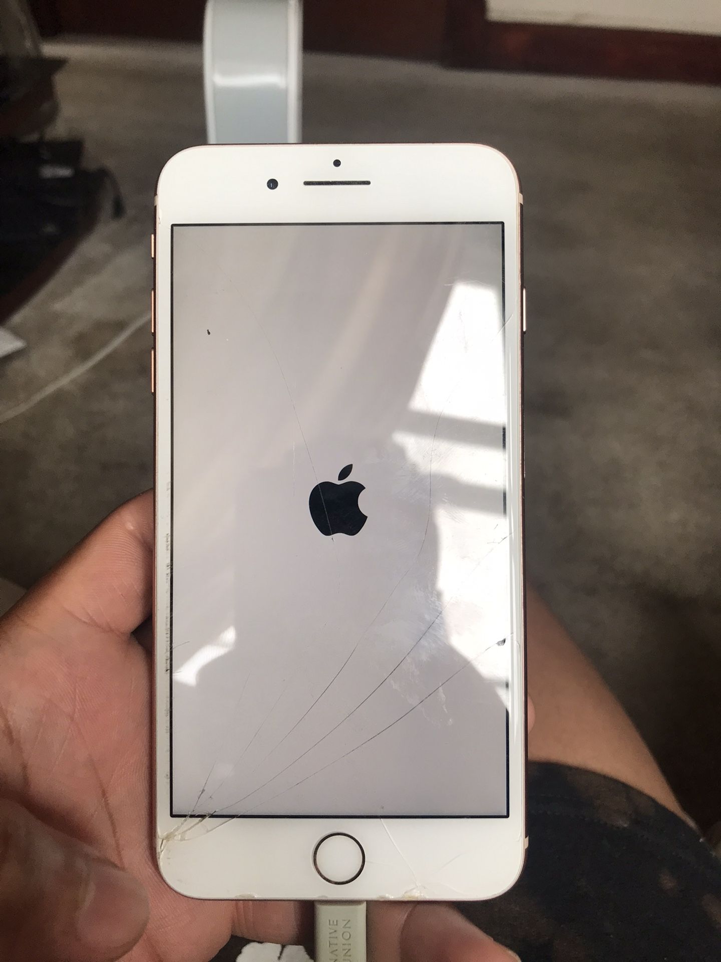 iPhone 