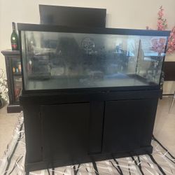 Glass Tank With Stand