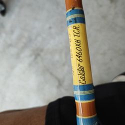 Fishing Rod