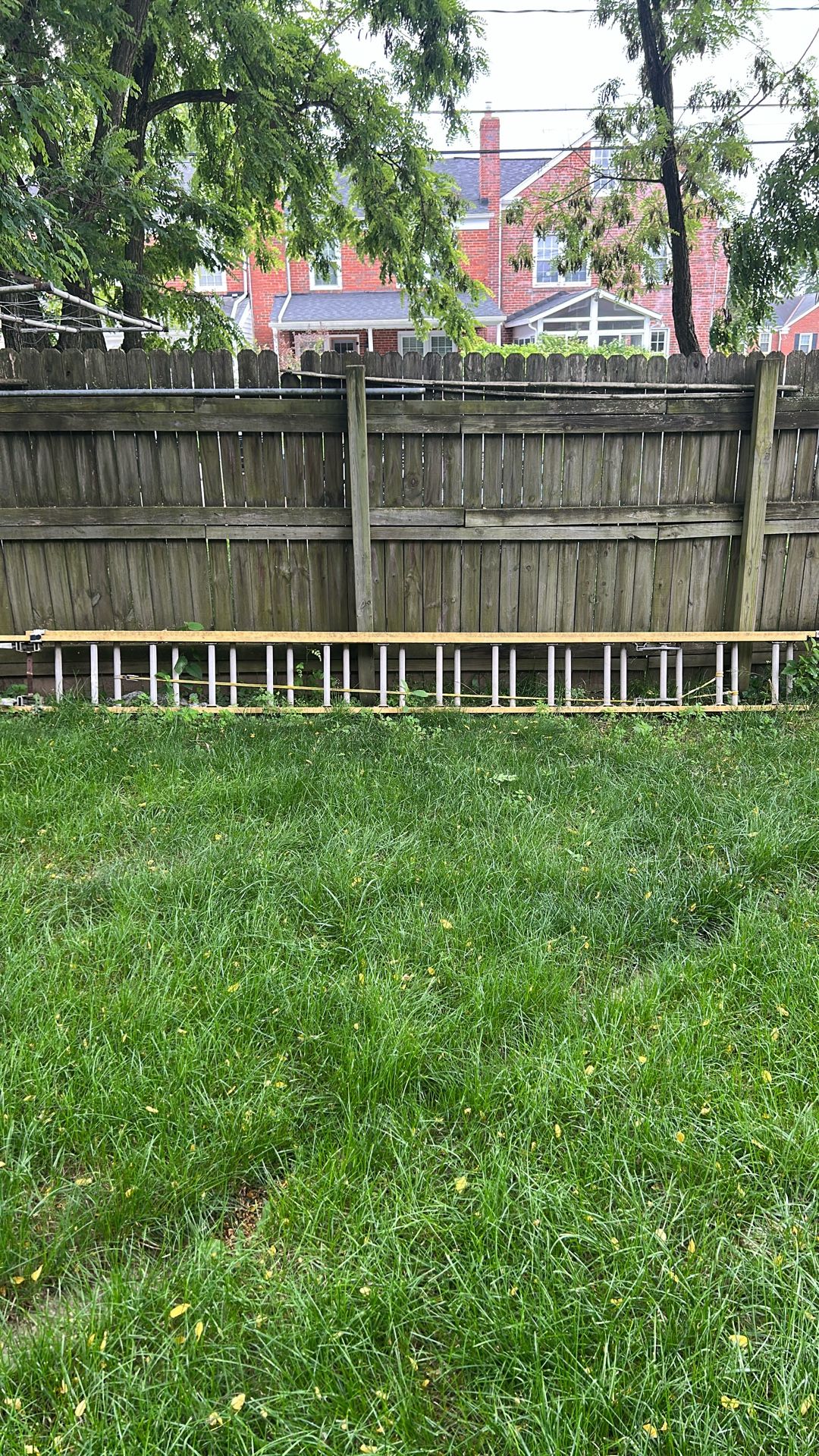Ladder