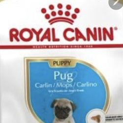 Pug Puppy   Food