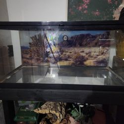 Reptile tank