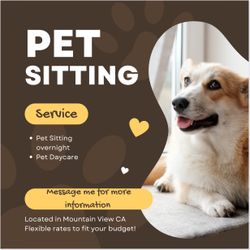 pet sitting services ❣️🐾