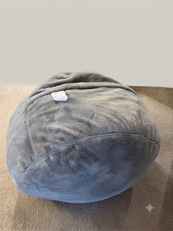 Bean Bag for sale