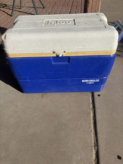 Medium Sized Igloo Cooler