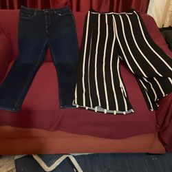 Pants Size 12