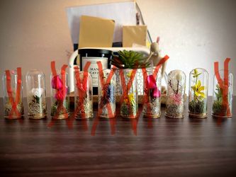 Mini Dome Decoration 