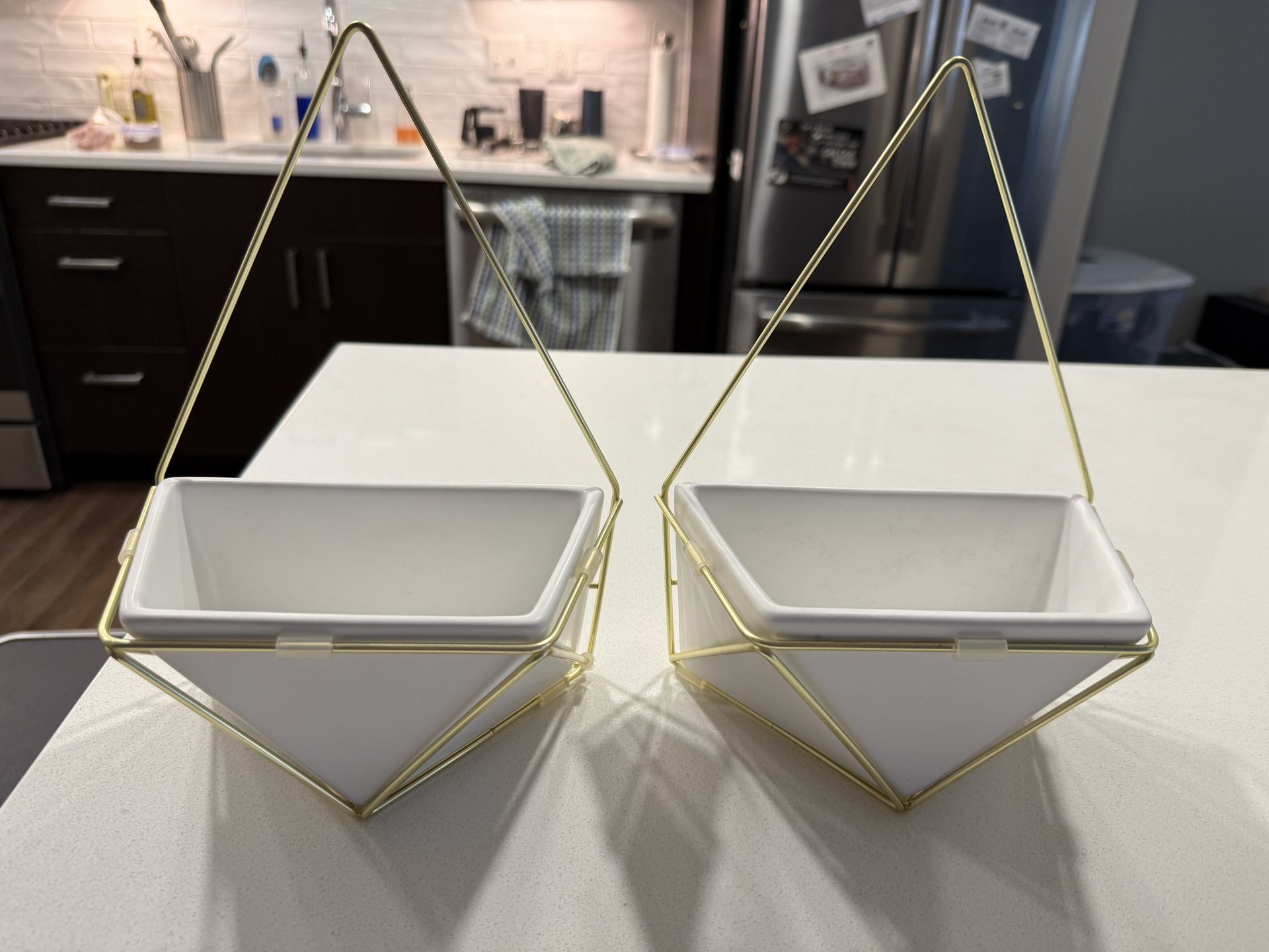 Decorative Wall Planters