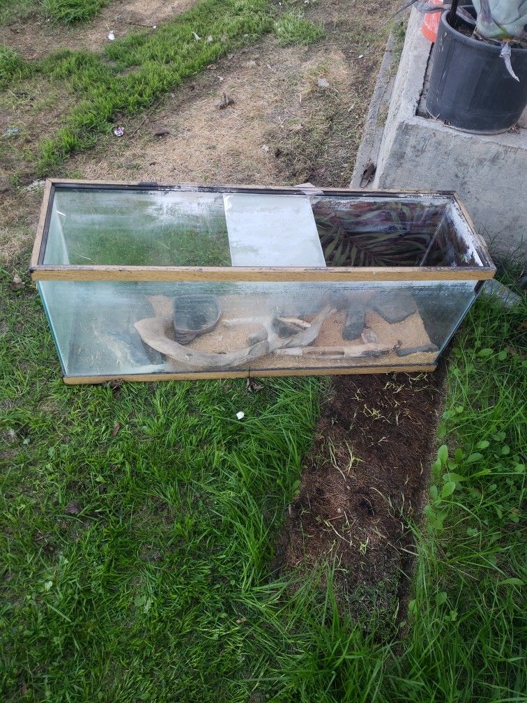Reptile Tank 