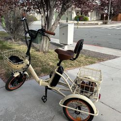 Tricycle Ebike