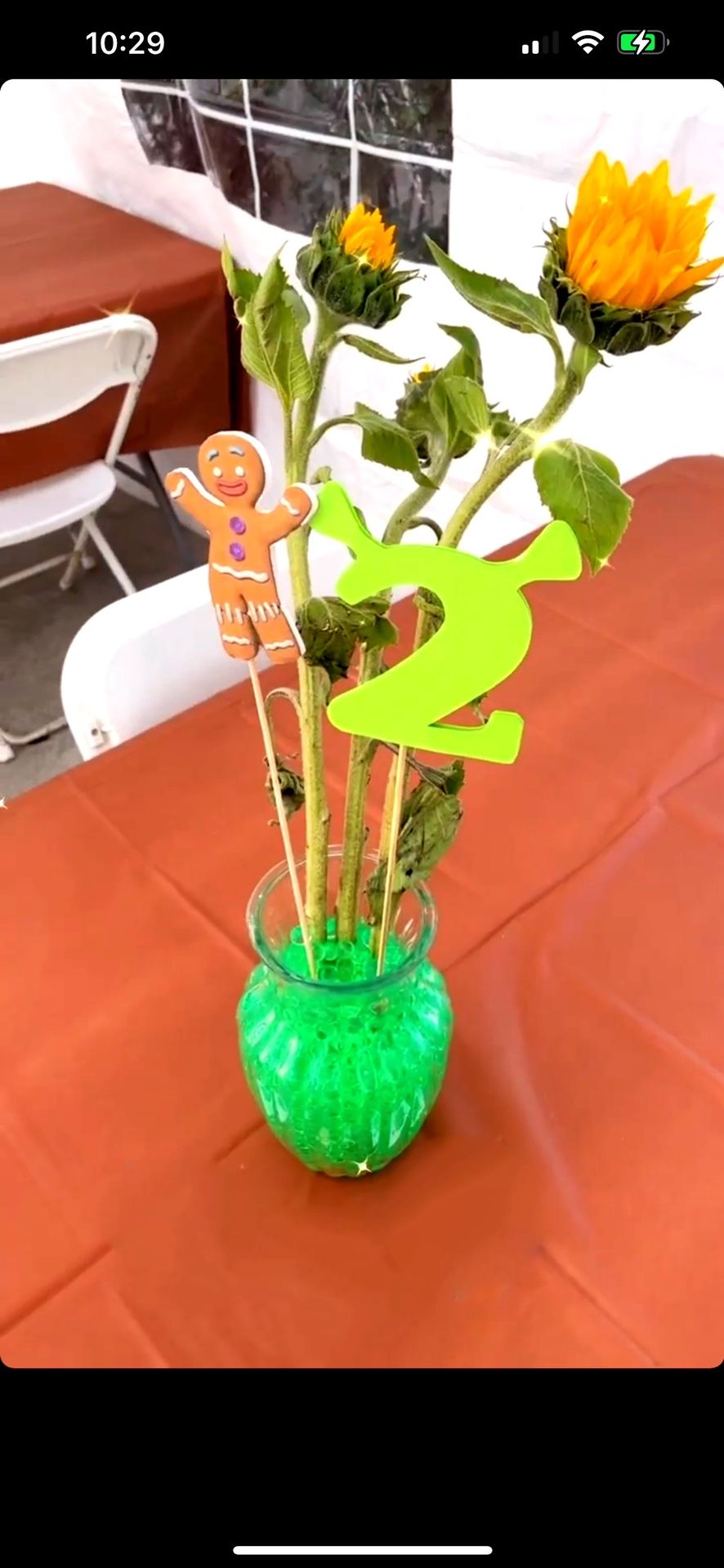 Shrek Centerpieces