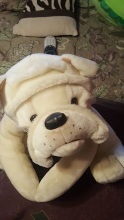 Teady dog