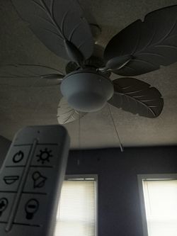 Ceiling Fan