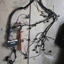 K24 Custom Engine Harness 