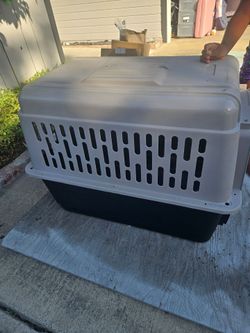 Dog  crate