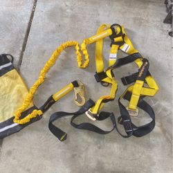 Kwiksafety Harness