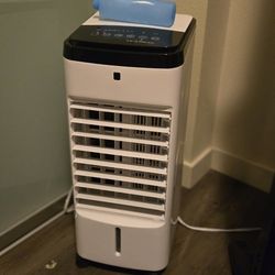 Portable Fan/Cooler