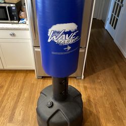 Wave Master by Century, kickboxing/boxing bag