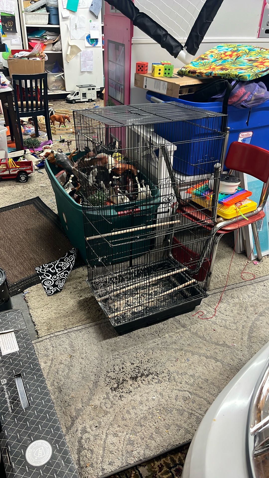 Bird Cage