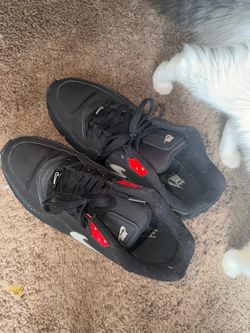 Air maxs