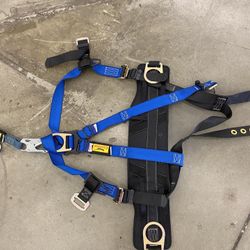 Condor Fall Protection Harness