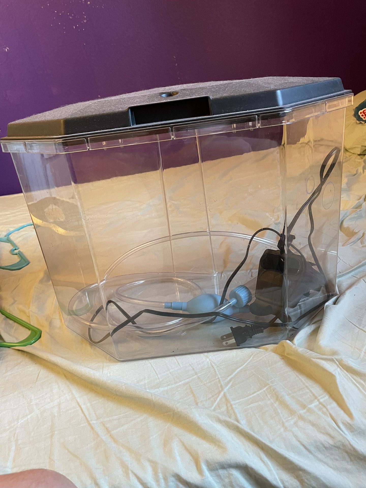 5 Gallon Aquarium With Cleaning Pump And Filter Included!