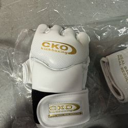 MMA gloves 