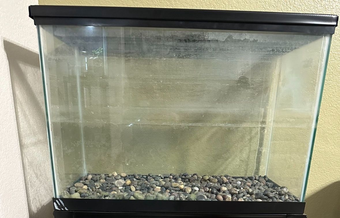20 Gallon Tank