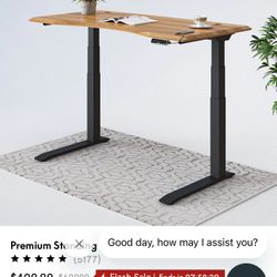 Electric Adjustable Computer Desk 