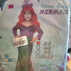 New Mermaid Halloween Costume 3-4 Year Brand New $25