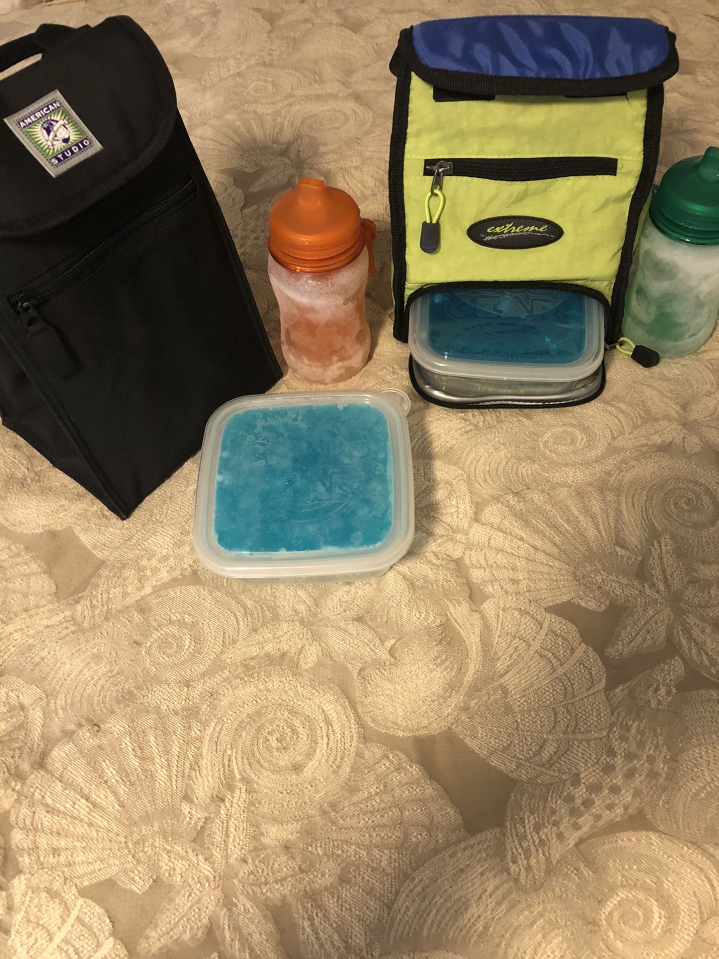 Insulated Lunch Bags; Quantity of 2