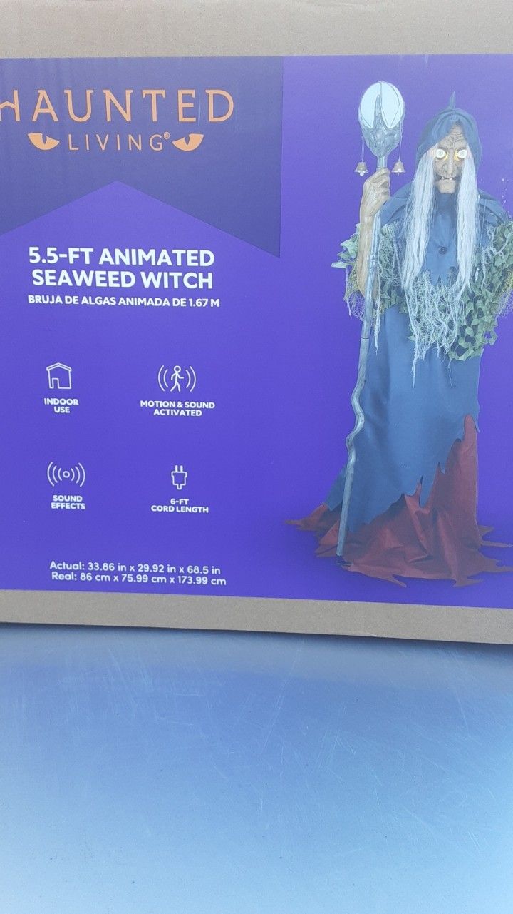 5.5' Animated Seaweed Witch