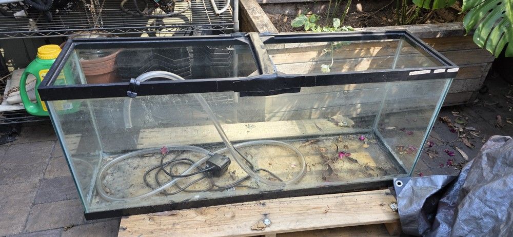 55 Gallon Fish Tank