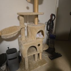 Cat Tree