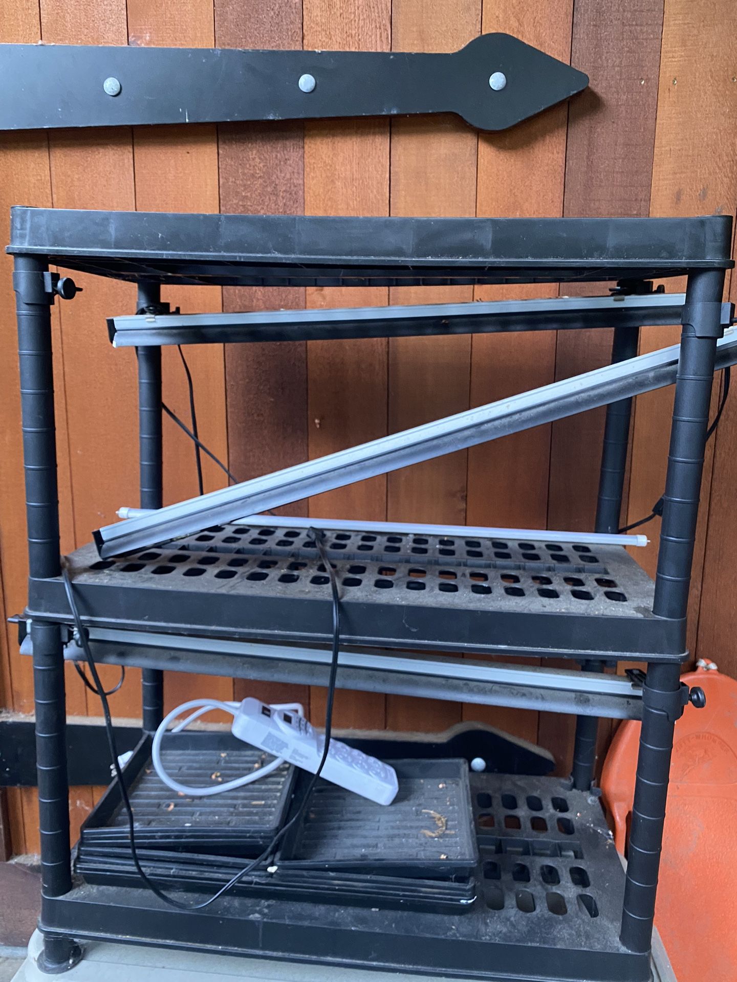 Grow lights for Greens And Sprouts