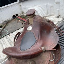 Saddle For Sale 