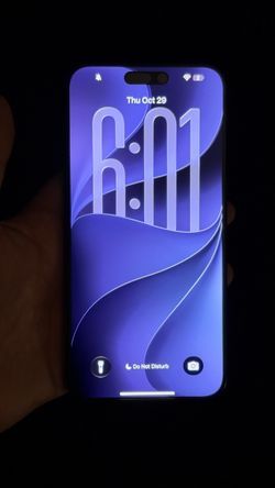 Apple iPhone 15 Pro Max 256gb Unlocked